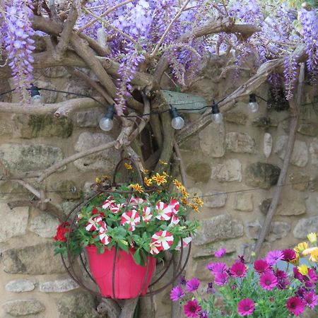 La Maison Wisteria Saint-Pantaleon-les-Vignes Экстерьер фото