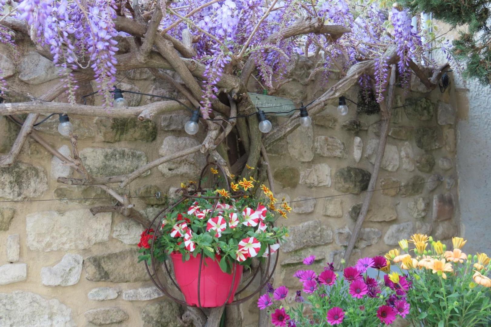La Maison Wisteria Saint-Pantaleon-les-Vignes Экстерьер фото